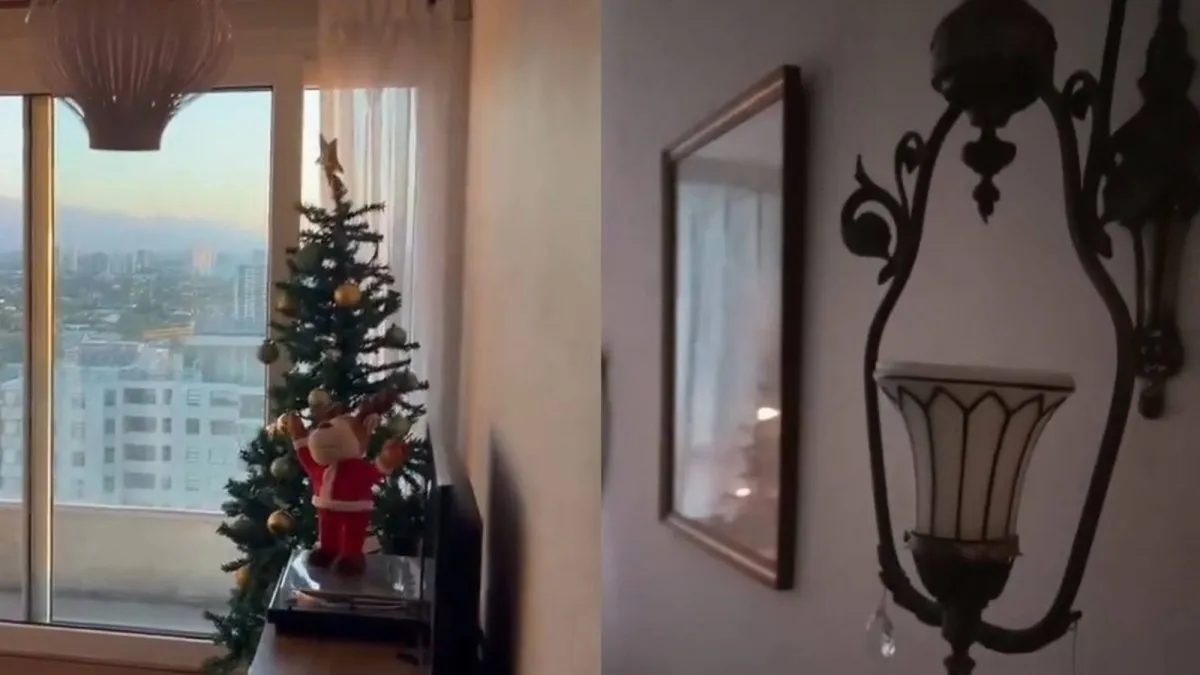 Fuerte sismo de 6,3º sacude la zona central de Chile: ¿qué consecuencias dejó?