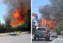 Incendio en fábrica de pallets en Isla de Maipo deja una persona lesionada.