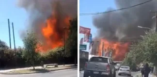 Incendio en fábrica de pallets en Isla de Maipo deja una persona lesionada.