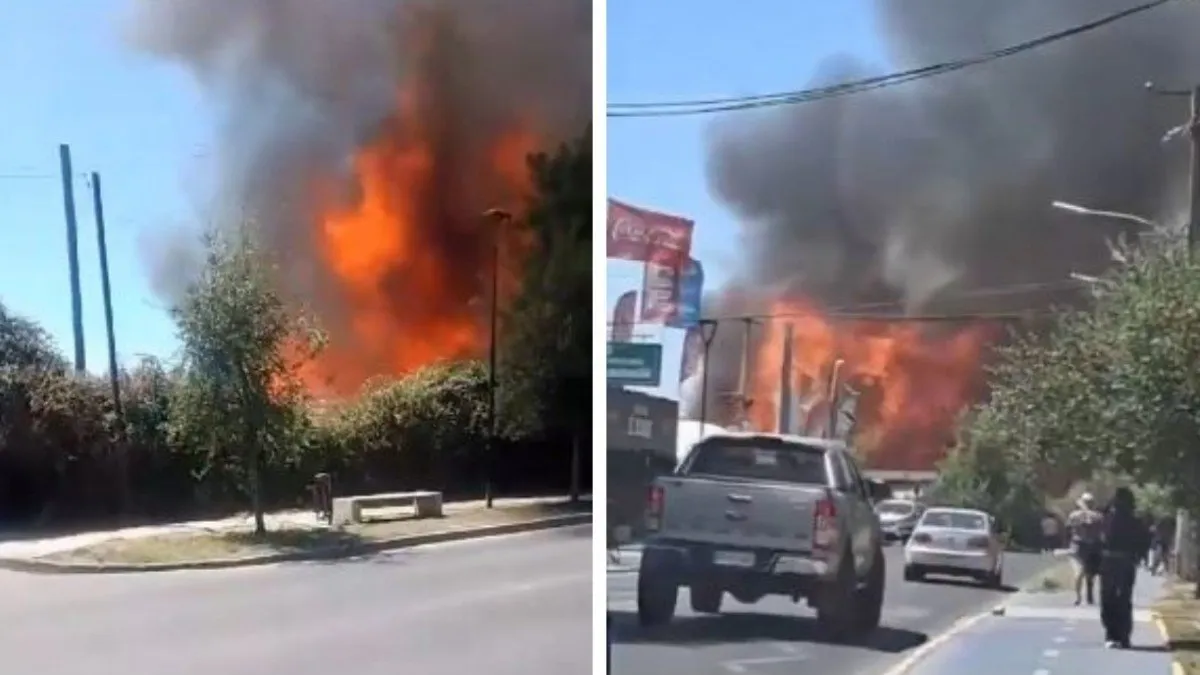 Incendio en fábrica de pallets en Isla de Maipo: ¿qué se sabe sobre el siniestro?