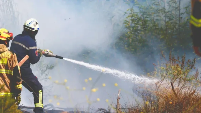 Alerta Roja en Lampa: incendio forestal amenaza la seguridad de la zona.