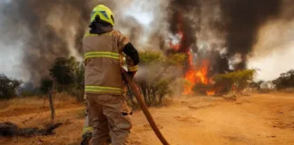 Alerta Roja: Incendio en Lampa y Tiltil arrasa 200 hectáreas de bosque.