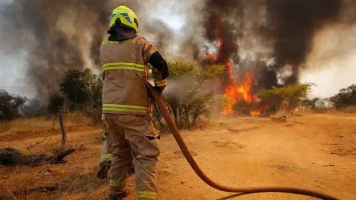 Alerta Roja: Incendio en Lampa y Tiltil arrasa 200 hectáreas de bosque.