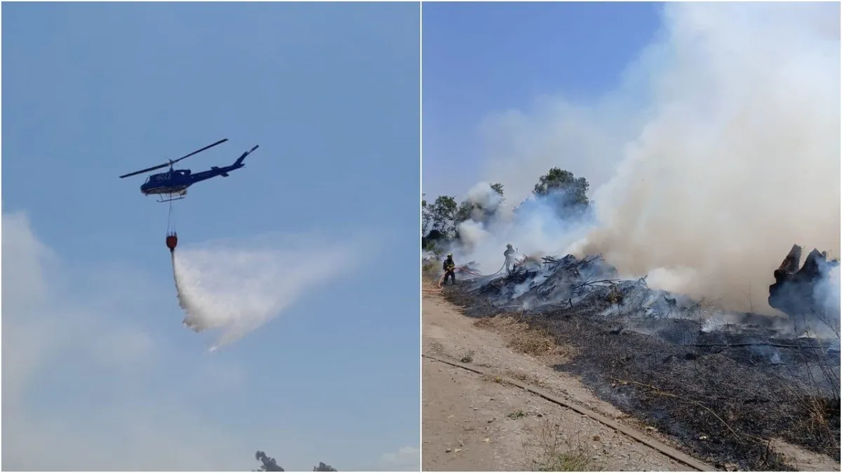 Alerta Roja en Rancagua: evacuan sector por incendio forestal incontrolable.