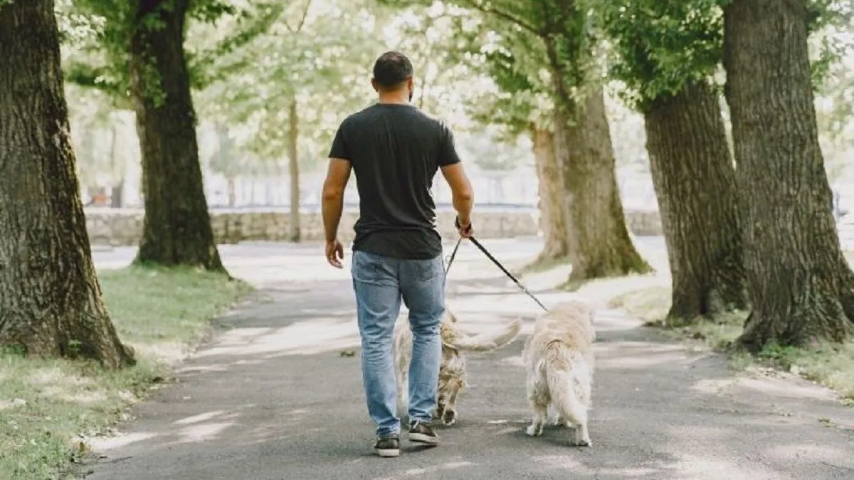 Tragedia en EEUU: Un hombre pierde la vida tras ser atacado por sus tres perros.