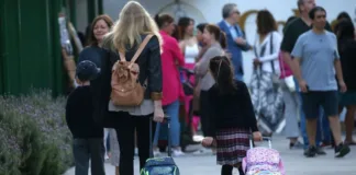 Calendario escolar 2025: Fechas clave de clases y vacaciones para el próximo año.