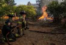 Alerta Roja en Limache: evacuación ordenada por incendio forestal en sector habitado.