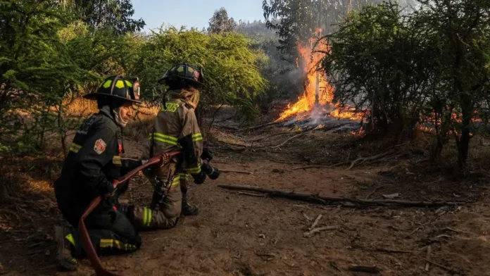 Alerta Roja en Limache: evacuación ordenada por incendio forestal en sector habitado.