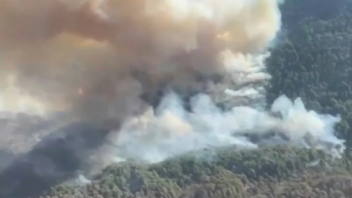 Incendio forestal en Bariloche: ¿qué está causando la devastación en el Parque Nacional Nahuel Huapi?