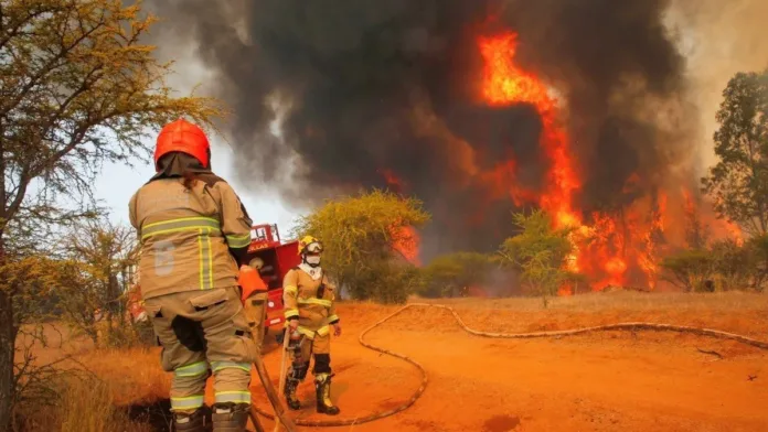 Alerta Roja en Vichuquén: Conaf y Bomberos combaten incendio forestal.