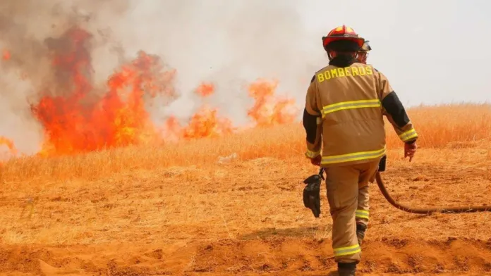 Alerta Amarilla en Chacabuco: 285 hectáreas afectadas por incendio forestal.