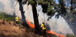 El Parque Metropolitano cierra accesos por incendio en el Cerro San Cristóbal.