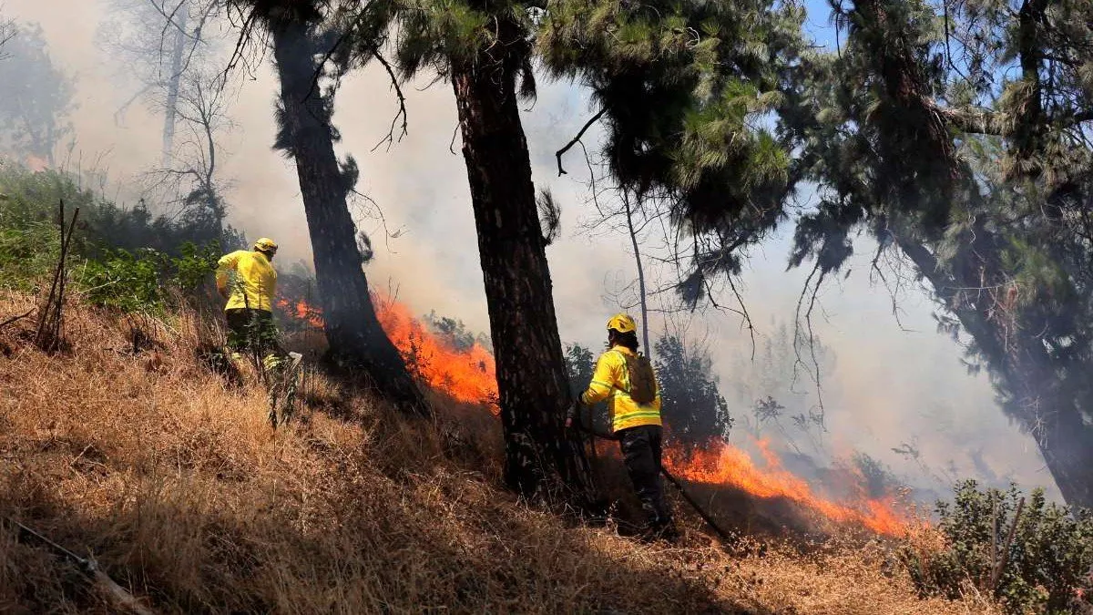 Incendio en Cerro San Cristóbal provoca cierre de Parquemet y evacuación de visitantes