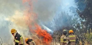 Incendio en Ruta 5 Sur provoca cierre temporal del tránsito.