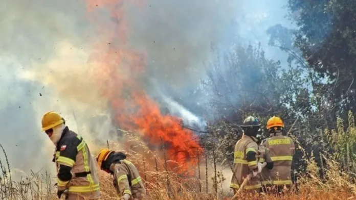 Incendio en Ruta 5 Sur provoca cierre temporal del tránsito.