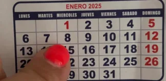 Calendario 2025: 19 feriados y 6 fines de semana largos en Chile.