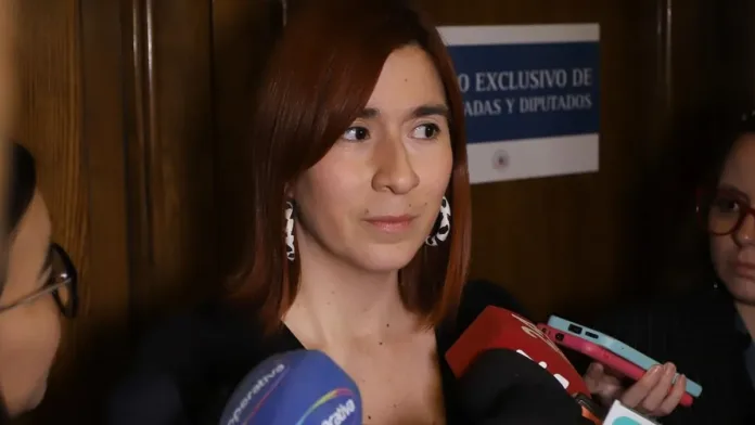 Fiscalía de Antofagasta pide desafuero de la diputada Catalina Pérez por Caso Convenios.