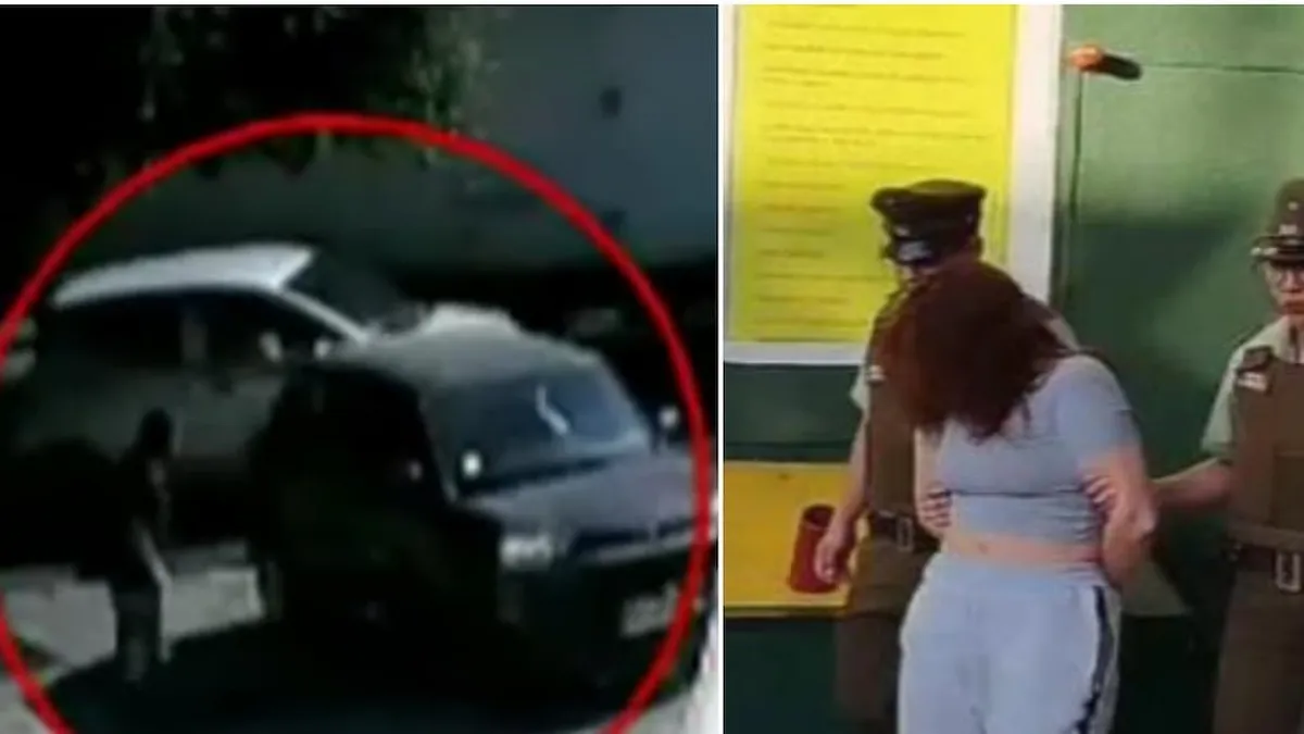 Impactante caso de la odontóloga que apuñaló a un hombre tras confusión por robo