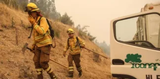 Alerta preventiva en RM y O'Higgins por riesgo de incendios forestales.