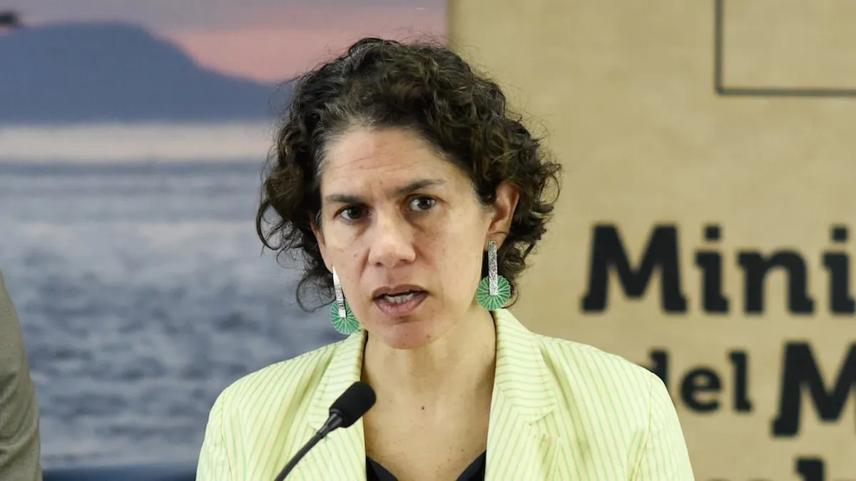 ¿Qué implicaciones tendrá la nueva votación del Tribunal Ambiental sobre el proyecto Dominga?