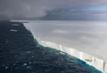 El iceberg más grande del mundo avanza hacia una isla del Atlántico Sur.