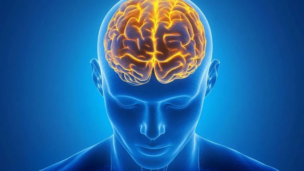 Expertos advierten: “Tiempo es cerebro” en la lucha contra el accidente cerebrovascular