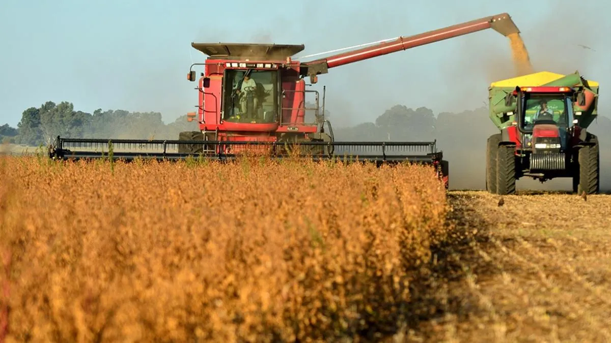 Banco Mundial prevé un crecimiento del PBI argentino del 5% en 2024, impulsado por la agricultura y la energía, pero advierte sobre desafíos globales y la necesidad de mantener políticas fiscales estrictas