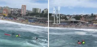 Rescate heroico: salvavidas salvan a hombre arrastrado por marejadas en Caleta Portales.