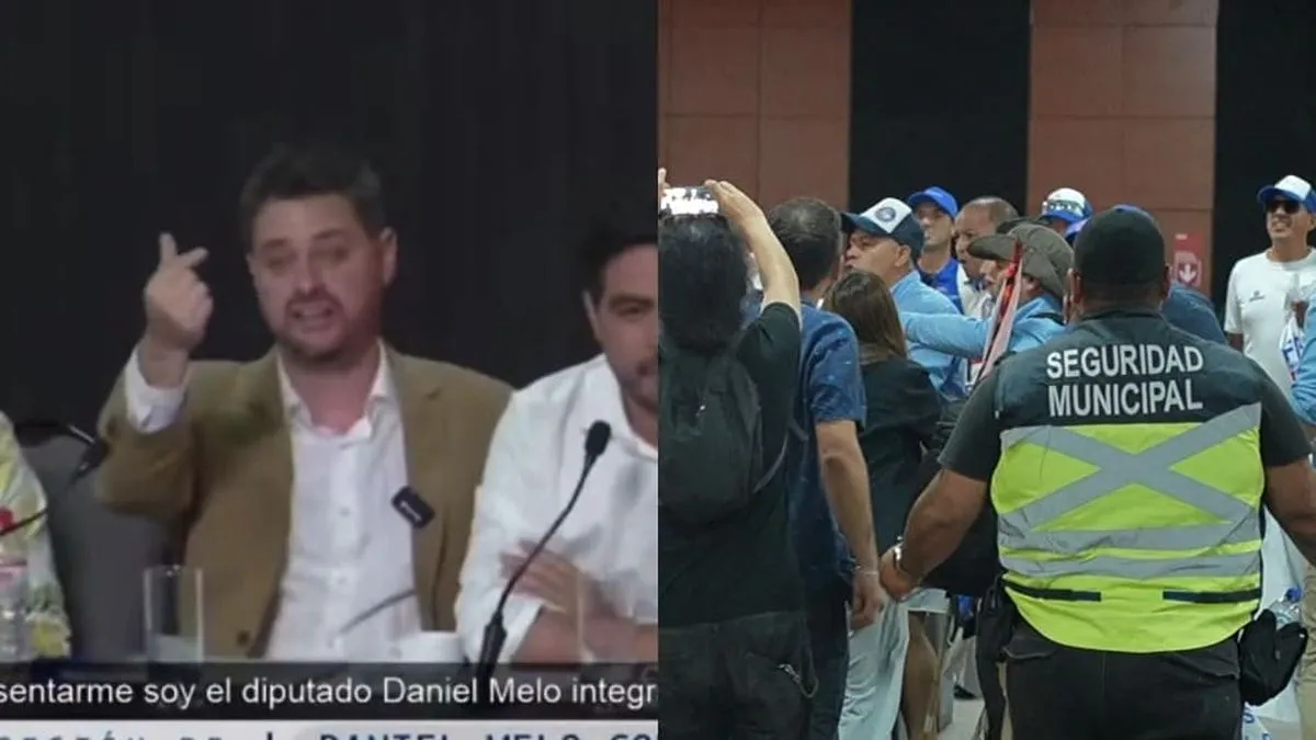 Diputados acusan provocativos gestos de Manouchehri en tensa sesión sobre Dominga.