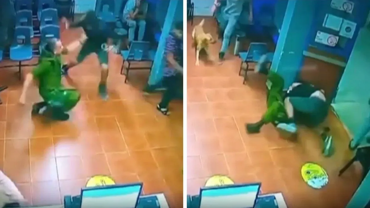 Persecución policial en Recoleta termina en San Bernardo: ¿qué ocurrió con los siete detenidos?