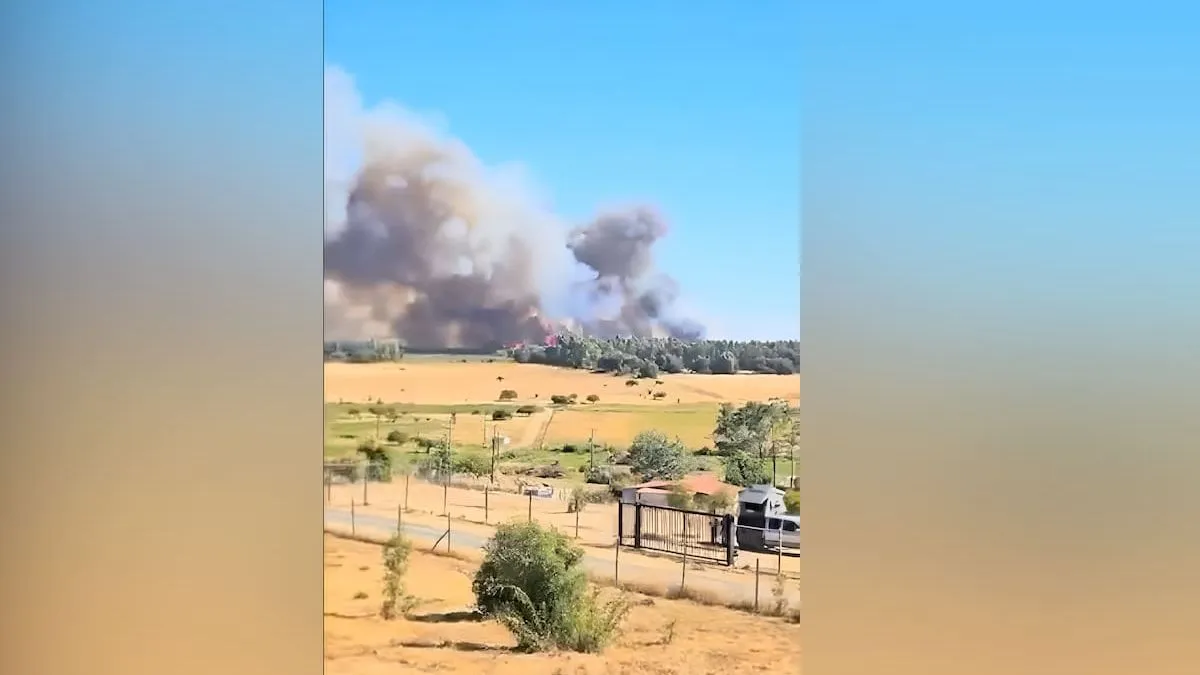 Alerta roja en Chillán Viejo por incendio forestal que consume seis hectáreas en Los Colihues