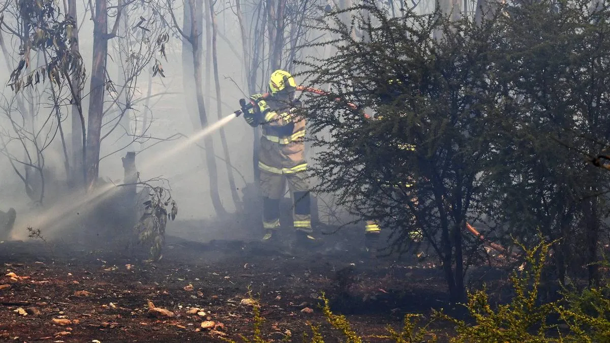Tragedia en Los Sauces: tres brigadistas fallecen en combate contra incendio forestal