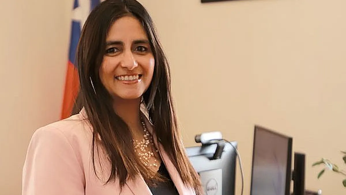 Récords del comercio exterior chileno: empresas exportadoras y servicios vendidos.