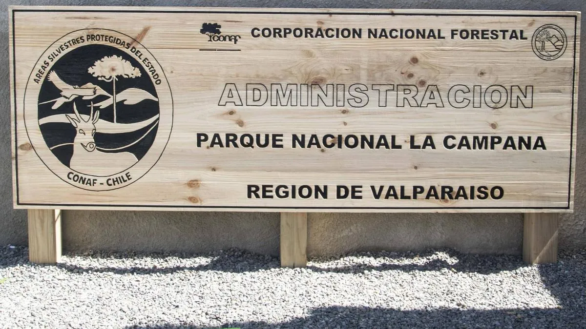 Descuentos para jóvenes en parques nacionales: descubre cómo acceder a ellos.