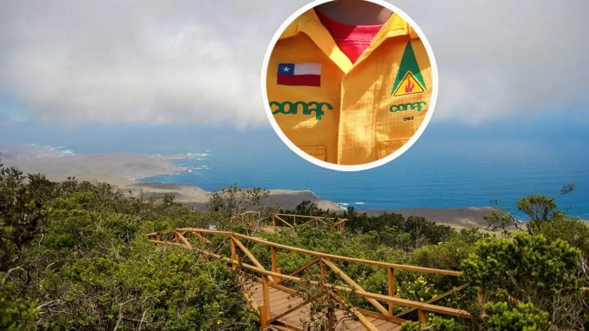 Cierre de 41 parques nacionales en Chile: ¿qué medidas se toman ante el riesgo de incendios?