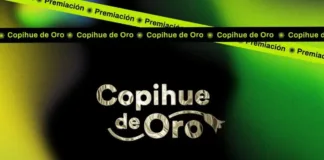 Jorge Zabaleta y Matthei brillan en los Copihue de Oro 2025: ¡descubre a los ganadores!