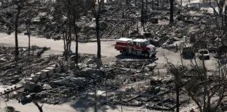 Tragedia en Hollywood: fallece actriz en devastadores incendios de Los Ángeles.