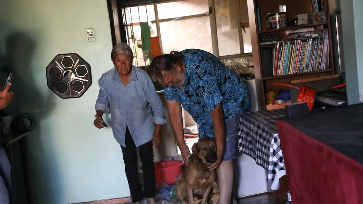 Rescatan a perro abandonado en La Florida tras operativo municipal y denuncia vecinal