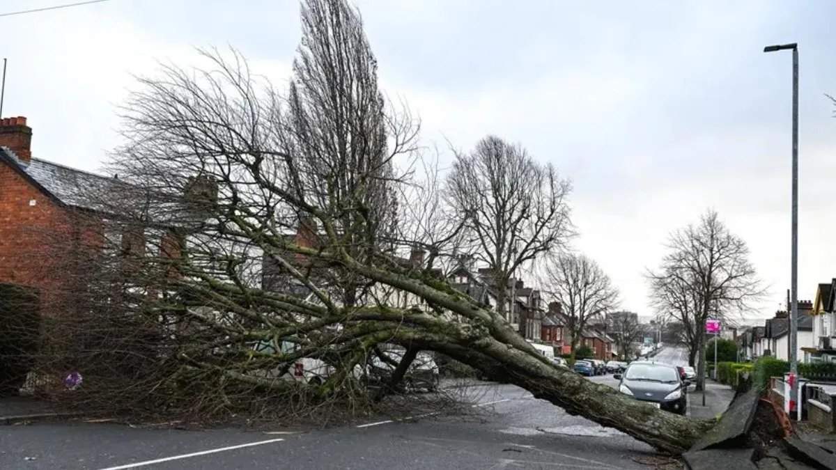 Tormenta Eowyn causa estragos en Irlanda y Escocia: un muerto y cortes de luz.
