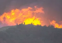 Bomberos enfrentan incendios en Los Ángeles; 16 vidas perdidas en la lucha.