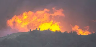 Bomberos enfrentan incendios en Los Ángeles; 16 vidas perdidas en la lucha.