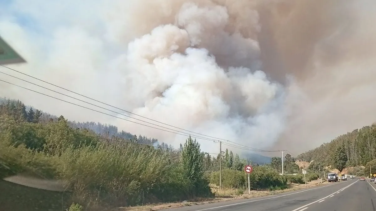 Incendios forestales en La Araucanía dejan tres brigadistas fallecidos y varios heridos en Los Sauces