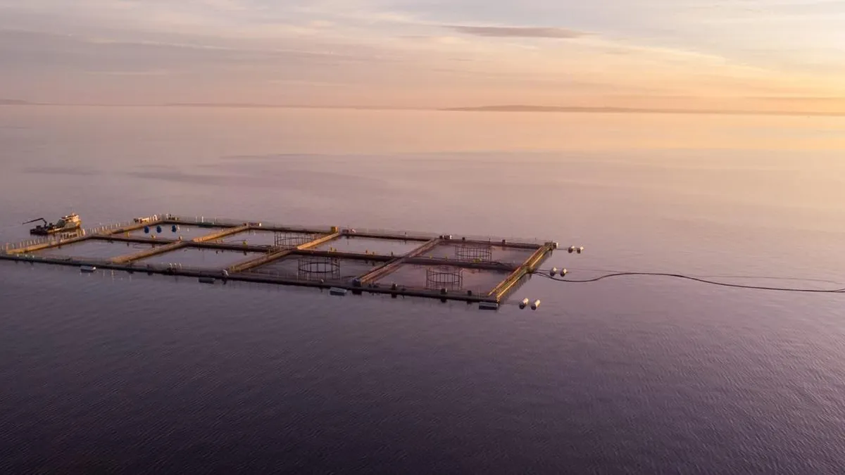 Ex ejecutivos de Australis Seafoods enfrentan acusaciones de estafa y sobreproducción en la Patagonia