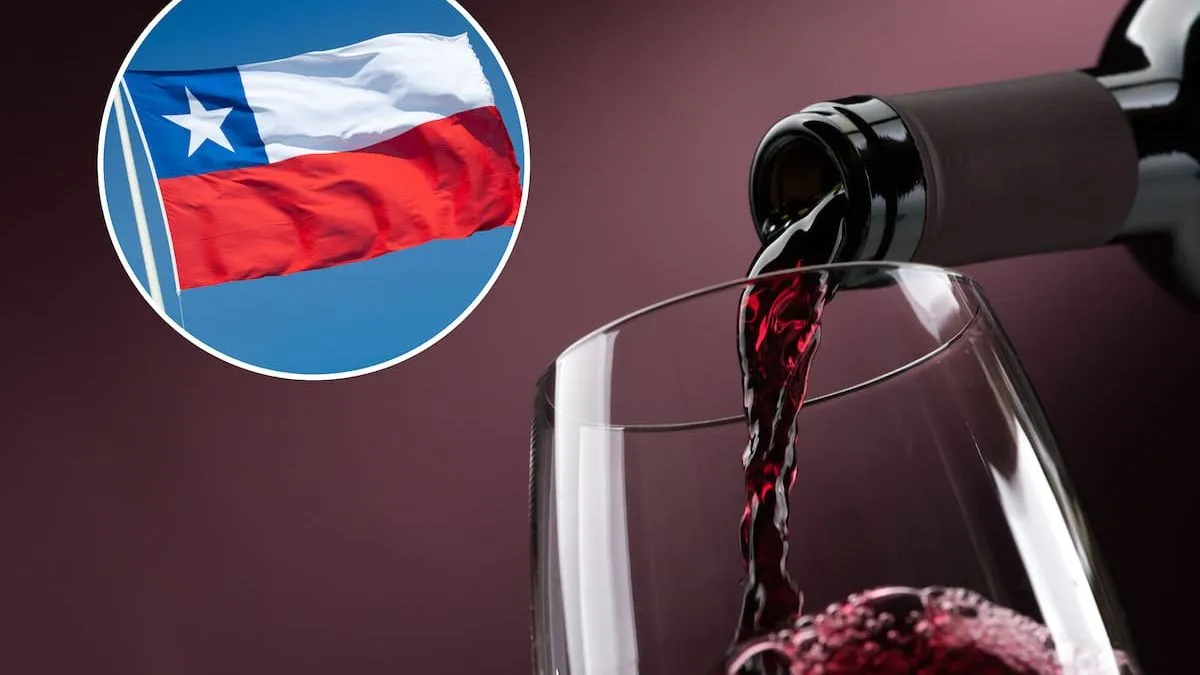 El único vino chileno destacado por el NY Times: calidad excepcional por menos de $20 mil.