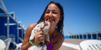 Mar del Plata: el destino ideal para disfrutar del verano con tu perro.