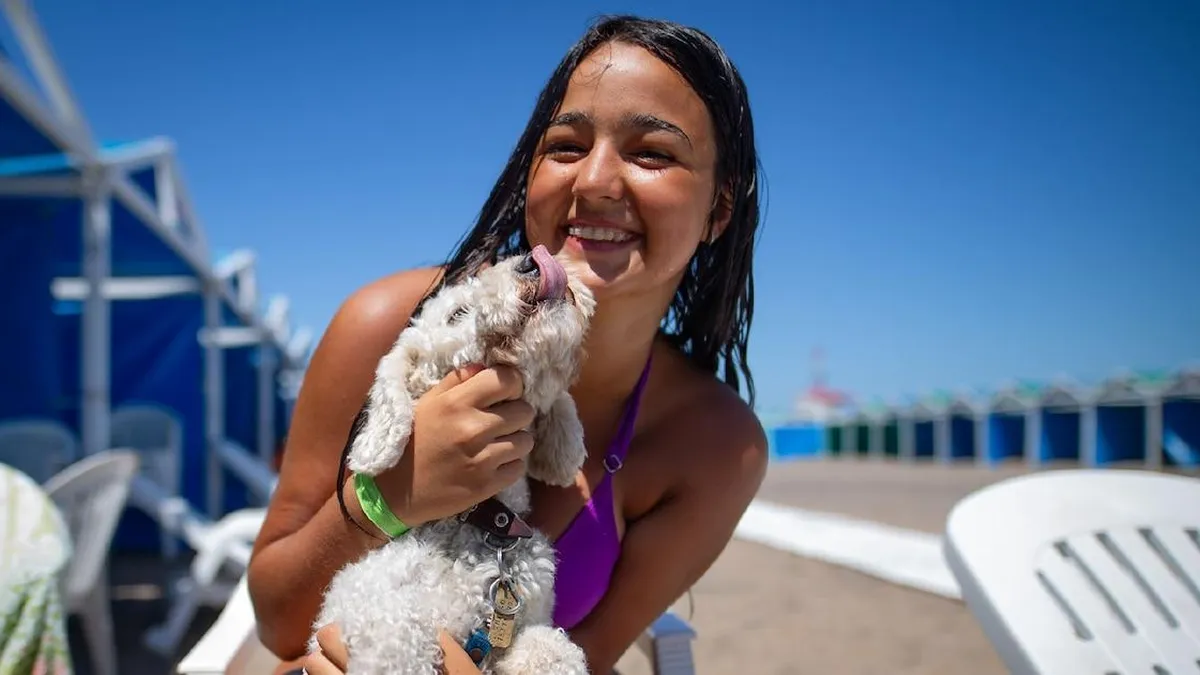 Las playas de Mar del Plata se llenan de alegría: ¿cómo se adaptan las mascotas al verano?