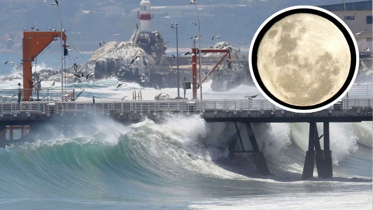 Nuevo aviso de marejadas anormales en Chile: ¿qué impacto tendrá la luna llena en el fenómeno?