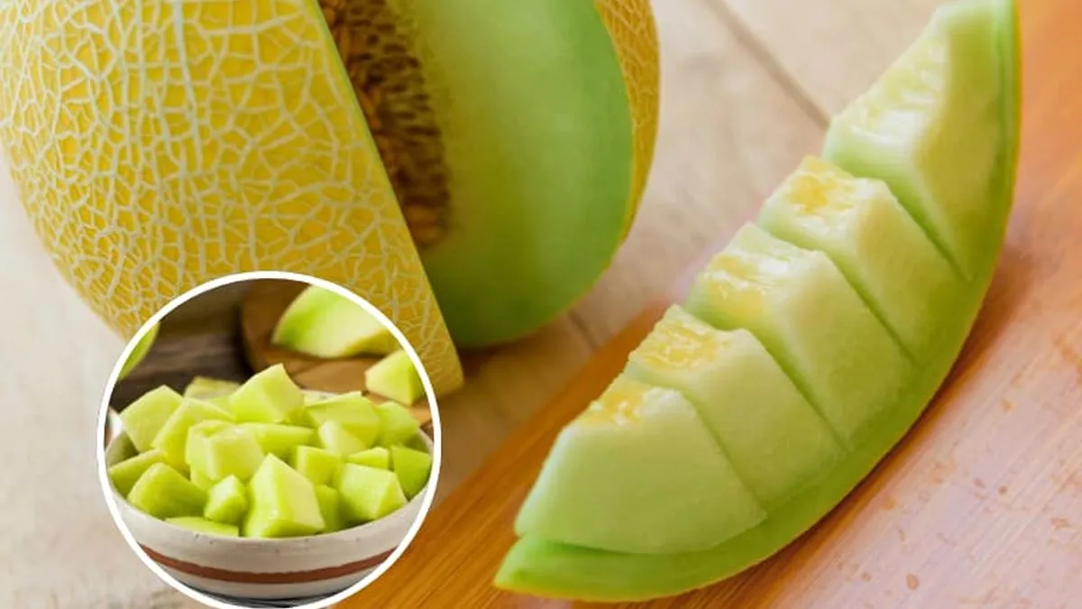 Descubre el arte de elegir el melón ideal en ferias este verano 2025.