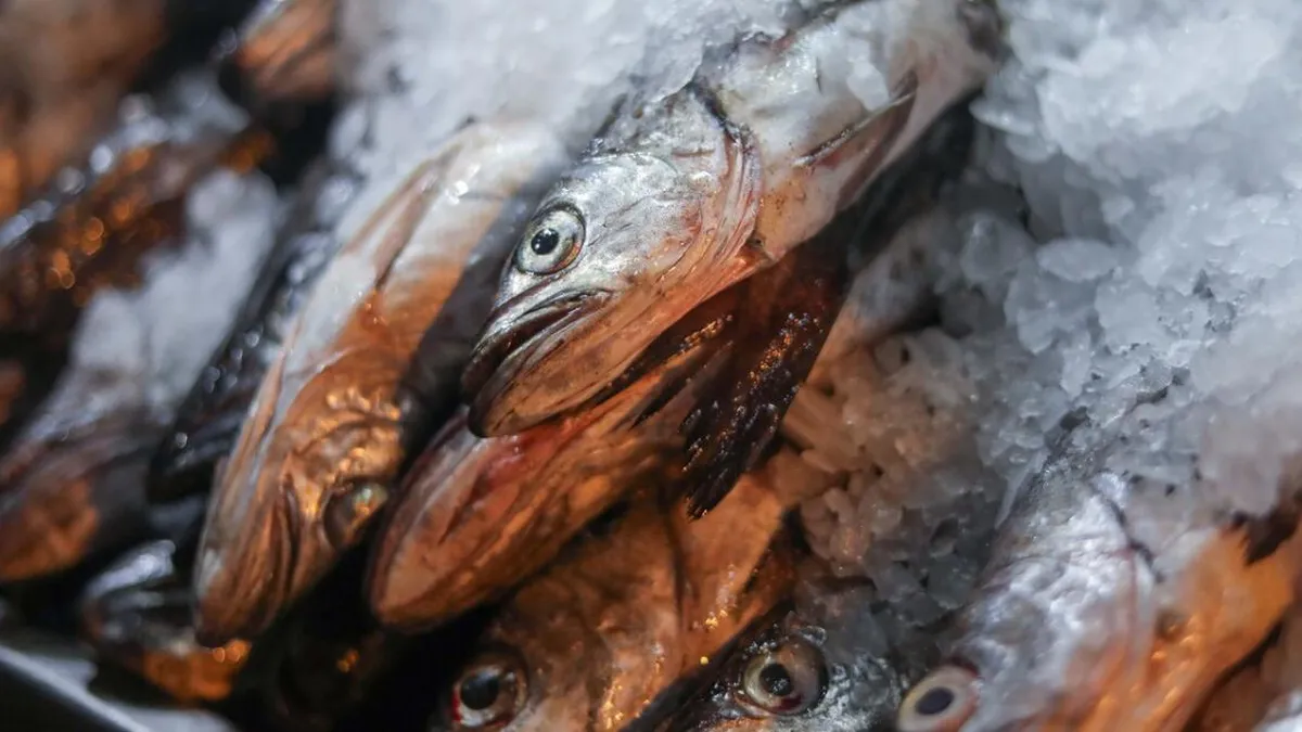 Minsal advierte sobre precauciones al adquirir mariscos en temperaturas extremas.