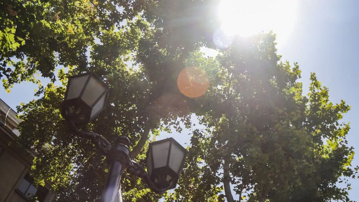 La NOAA confirma la llegada de La Niña: ¿qué implicaciones tendrá para el clima global?